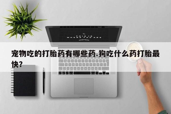 哪里有打胎药购买宠物吃的打胎药有哪些药.狗吃什么药打胎最快？