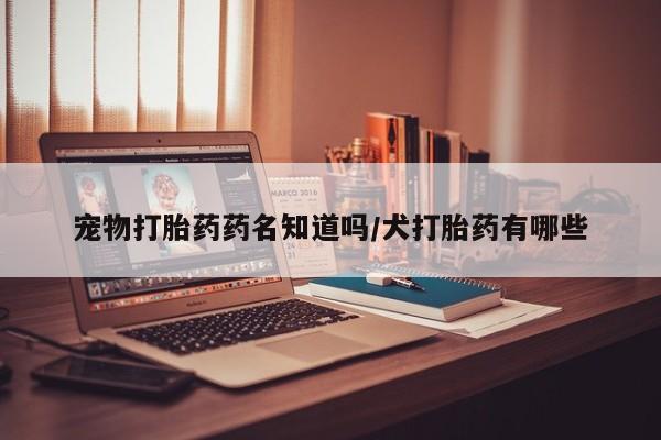 哪里有打胎药购买宠物打胎药药名知道吗/犬打胎药有哪些