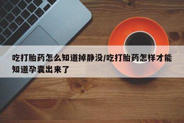 哪里有打胎药购买吃打胎药怎么知道掉静没/吃打胎药怎样才能知道孕囊出来了