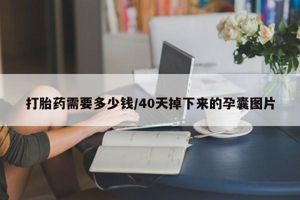 哪里有打胎药购买打胎药需要多少钱/40天掉下来的孕囊图片